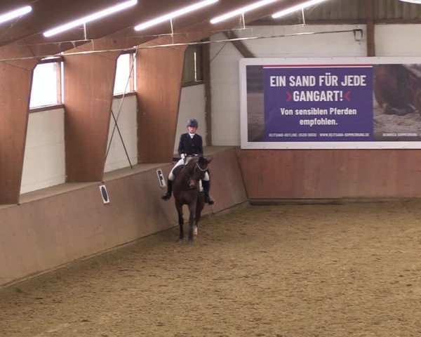 Reitturnier Bad Salzuflen 2023