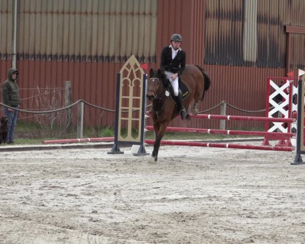 Reitturnier Handorf 2023