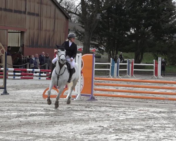 Reitturnier Handorf 2023