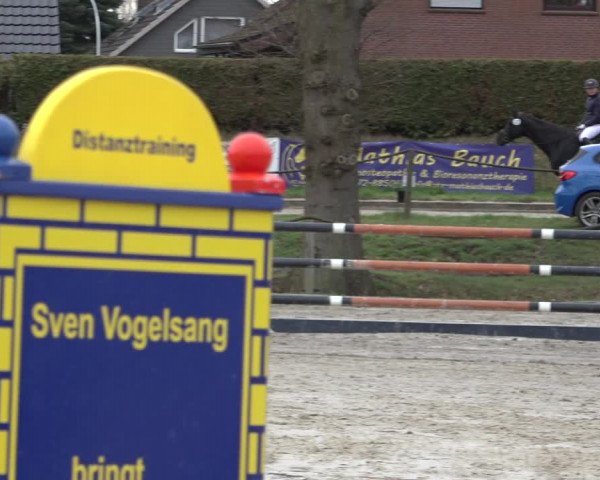 Reitturnier Handorf 2023