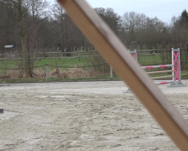 Reitturnier Handorf 2023
