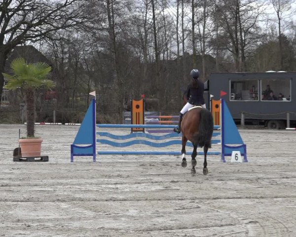Reitturnier Handorf 2023