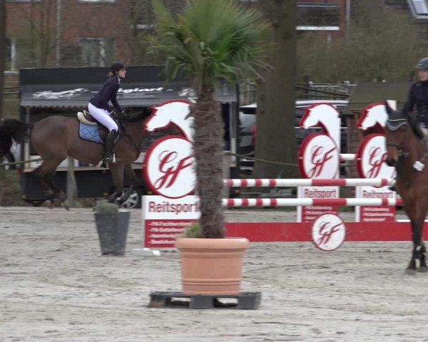 Reitturnier Handorf 2023
