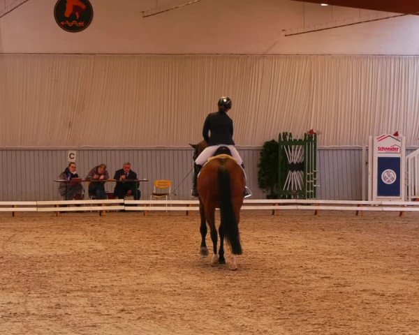 Reitturnier Lentzke 2023