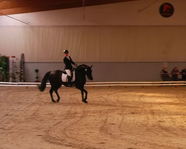 Reitturnier Lentzke 2023