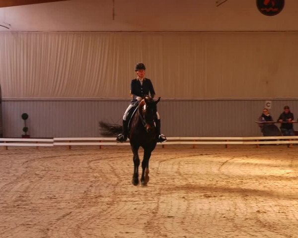 Reitturnier Lentzke 2023