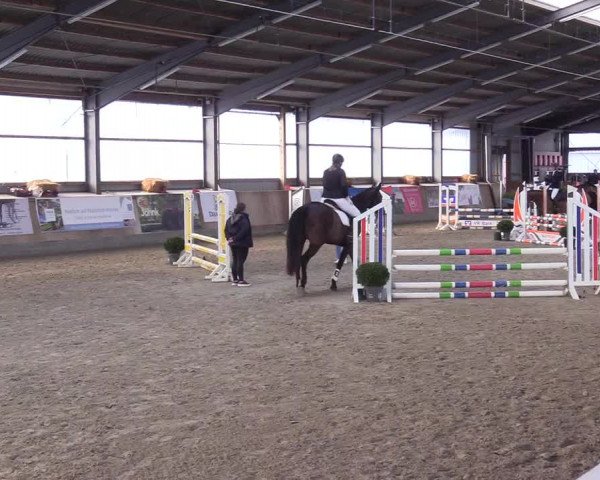 Reitturnier Jubiläumsturnier RC Damp - Reiterhof Tramm 2023