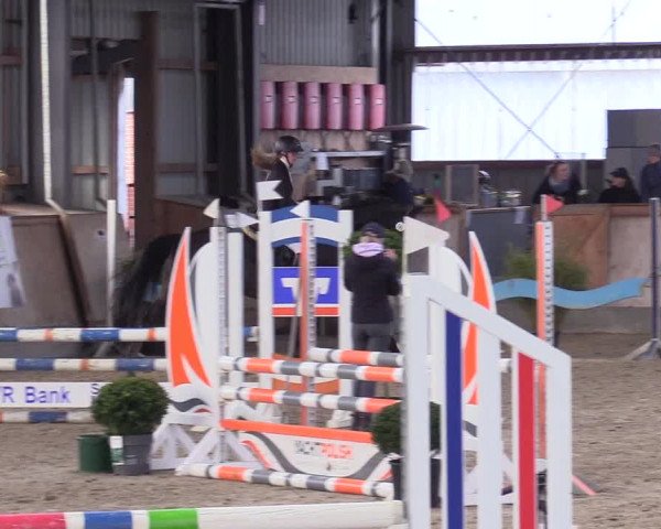 Reitturnier Jubiläumsturnier RC Damp - Reiterhof Tramm 2023