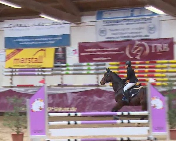 Reitturnier Eicherloh RH Laurent/Obb. 2023