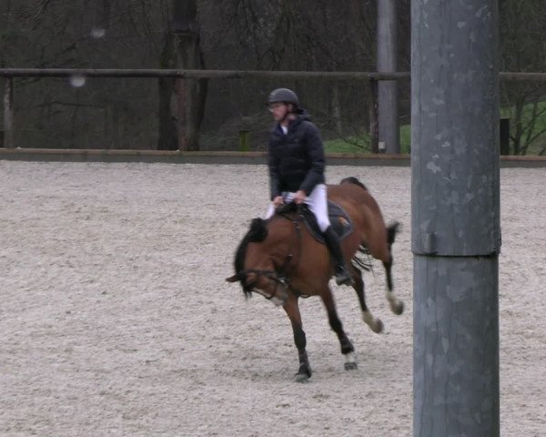 Reitturnier Erkrath 2023