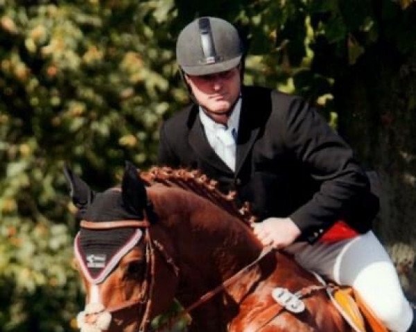 horse Couvenhowen (Hanoverian, 2003, from Cambridge)
