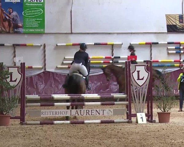 Reitturnier Eicherloh RH Laurent/Obb. 2023