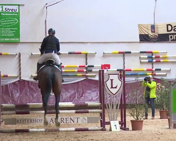 Reitturnier Eicherloh RH Laurent/Obb. 2023