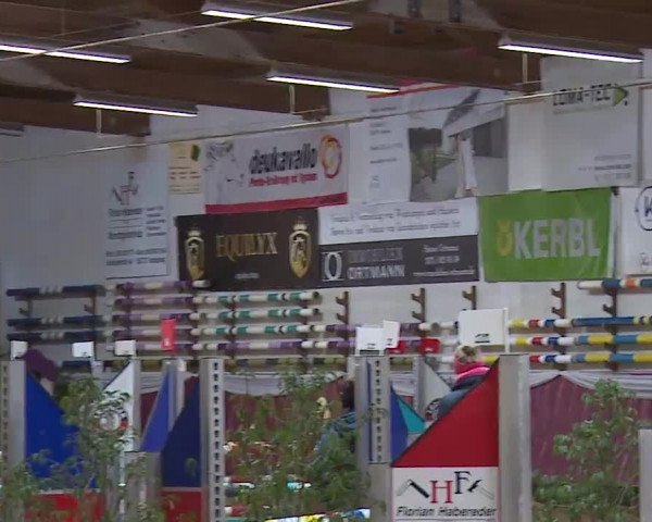 Reitturnier Eicherloh RH Laurent/Obb. 2023