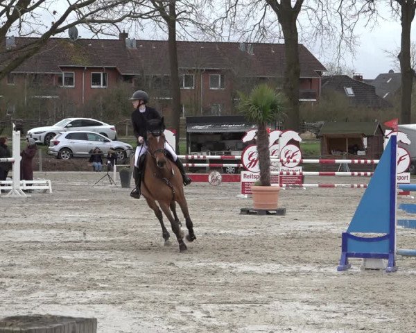 Reitturnier Handorf 2023