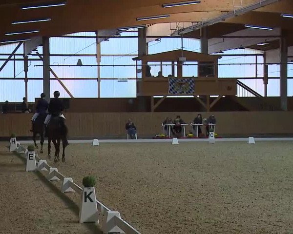 Reitturnier Grafenrheinfeld/Ufr. 2021