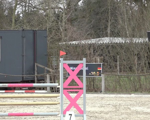 Reitturnier Handorf 2023