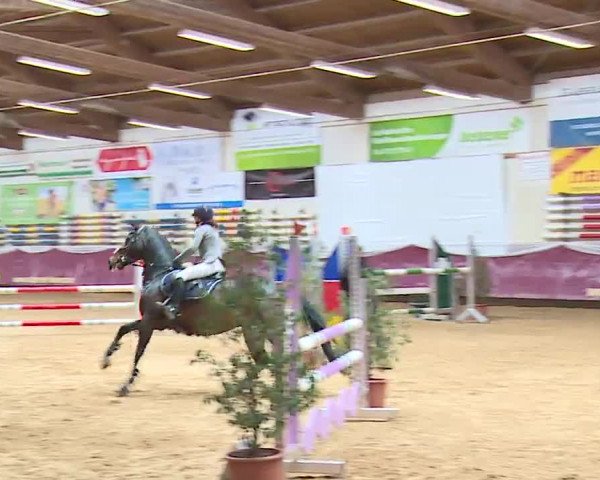 Reitturnier Eicherloh RH Laurent/Obb. 2023