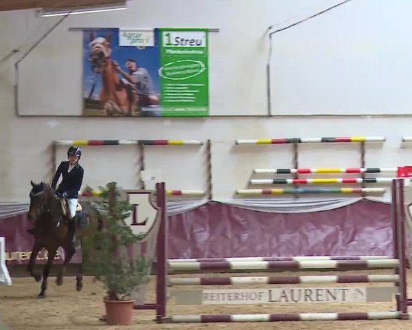 Reitturnier Eicherloh RH Laurent/Obb. 2023