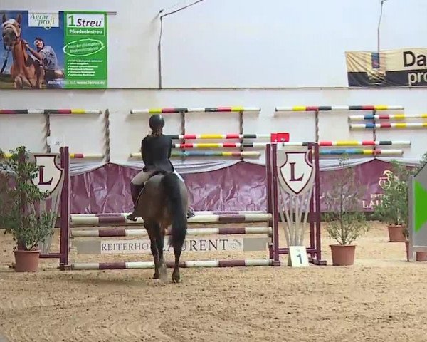 Reitturnier Eicherloh RH Laurent/Obb. 2023