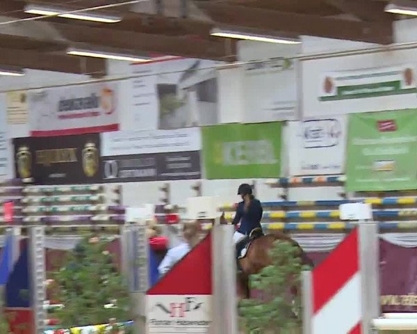 Reitturnier Eicherloh RH Laurent/Obb. 2023