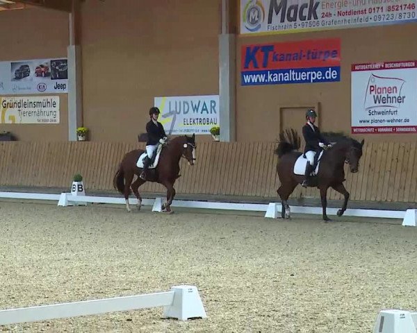 Reitturnier Grafenrheinfeld/Ufr. 2021