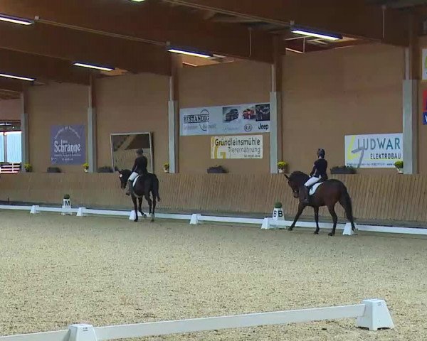 Reitturnier Grafenrheinfeld/Ufr. 2021