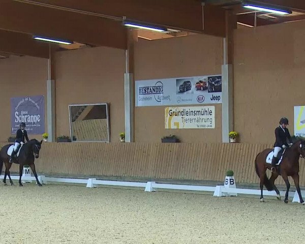 Reitturnier Grafenrheinfeld/Ufr. 2021