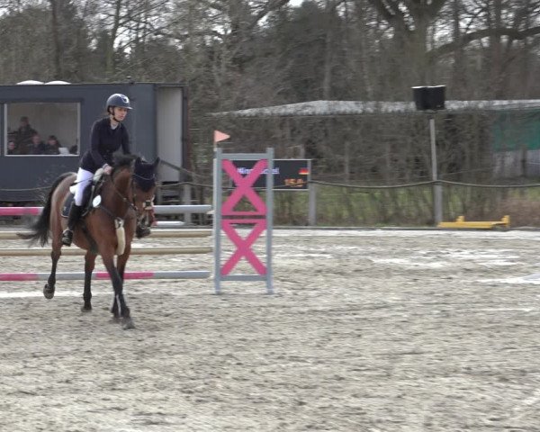 Reitturnier Handorf 2023