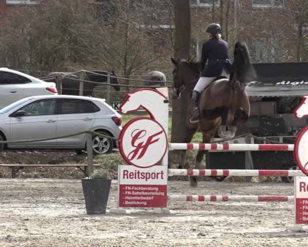 Reitturnier Handorf 2023