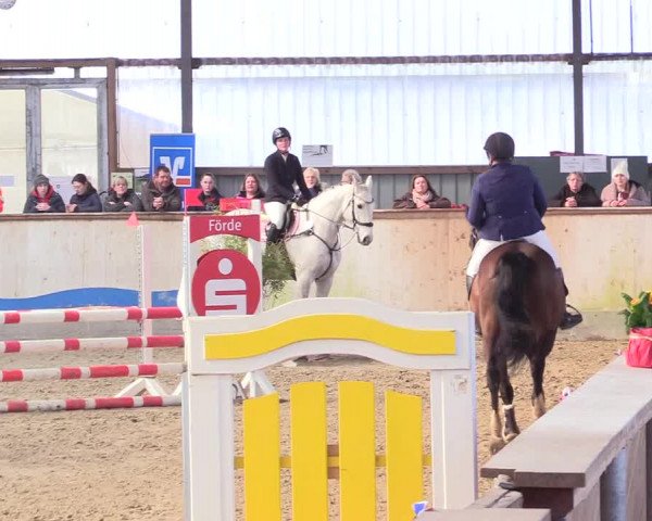Reitturnier Jubiläumsturnier RC Damp - Reiterhof Tramm 2023