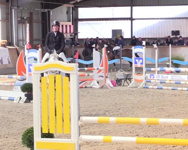 Reitturnier Jubiläumsturnier RC Damp - Reiterhof Tramm 2023