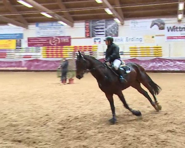 Reitturnier Eicherloh RH Laurent/Obb. 2023