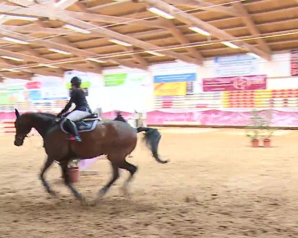 Reitturnier Eicherloh RH Laurent/Obb. 2023