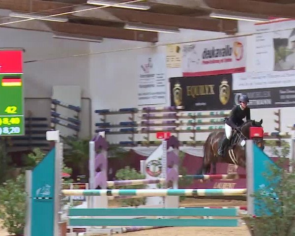 Reitturnier Eicherloh RH Laurent/Obb. 2023