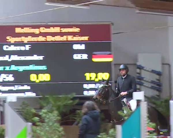Reitturnier Eicherloh RH Laurent/Obb. 2023