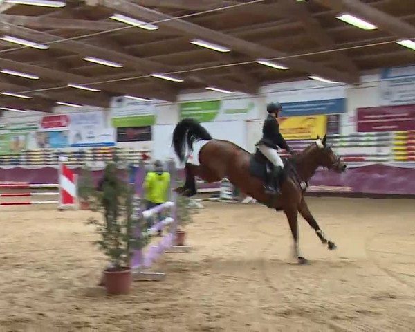 Reitturnier Eicherloh RH Laurent/Obb. 2023