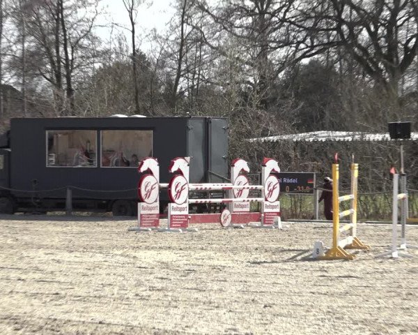 Reitturnier Handorf 2023