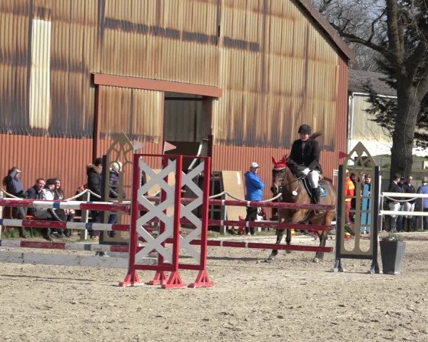 Reitturnier Handorf 2023