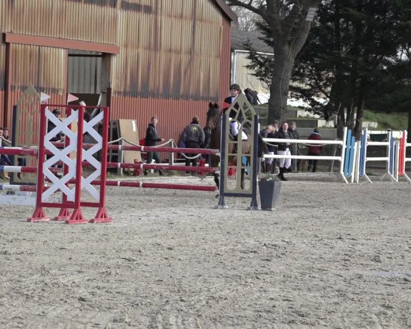 Reitturnier Handorf 2023