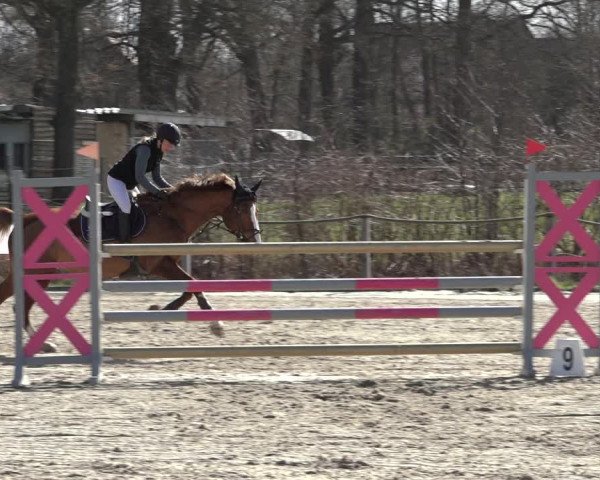 Reitturnier Handorf 2023