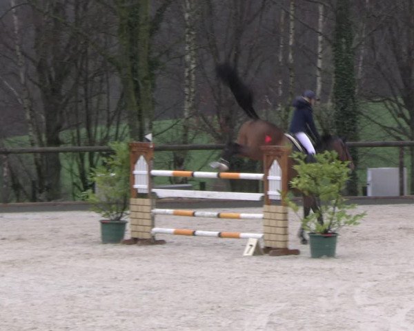Reitturnier Erkrath 2023