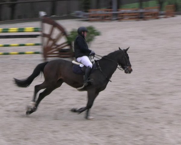 Reitturnier Erkrath 2023