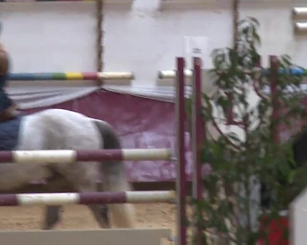 Reitturnier Eicherloh RH Laurent/Obb. 2023