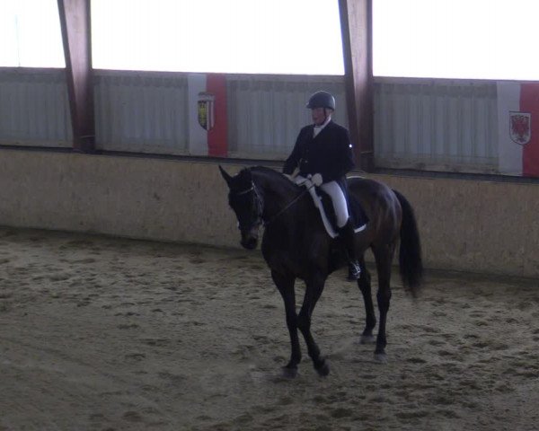 Reitturnier Kottingbrunn 2023