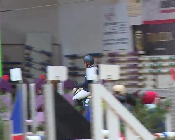 Reitturnier Eicherloh RH Laurent/Obb. 2023