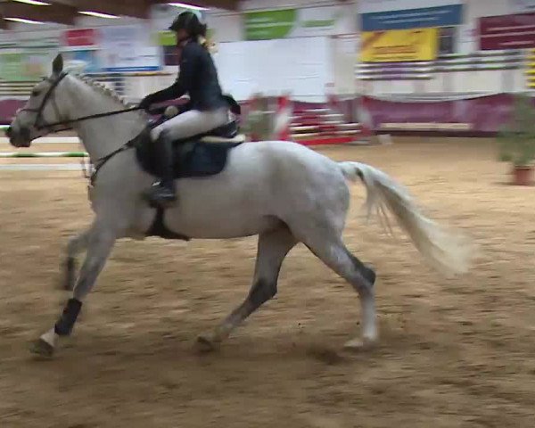 Reitturnier Eicherloh RH Laurent/Obb. 2023