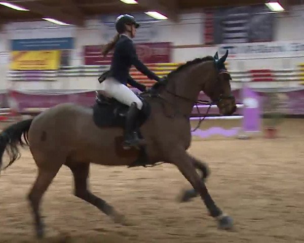 Reitturnier Eicherloh RH Laurent/Obb. 2023