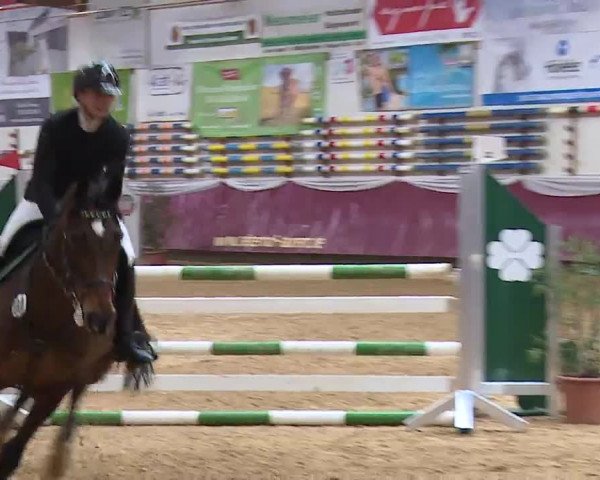 Reitturnier Eicherloh RH Laurent/Obb. 2023