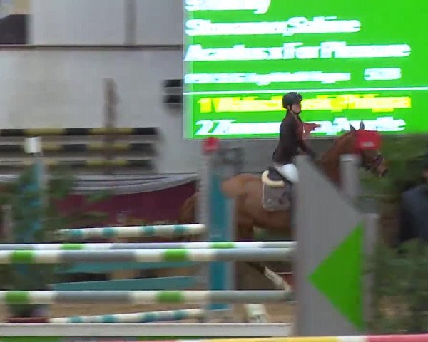 Reitturnier Eicherloh RH Laurent/Obb. 2023